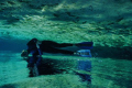   Optical Illusion Homssass Springs river Floridas West coast. This was discovery swm after seeing Manatees. coast Manatees  